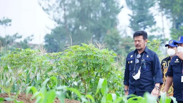 Bupati Wonosobo: Rencana Food Estate Membawa Harapan Memajukan Pertanian