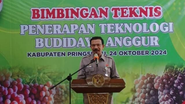 Kementan Dorong Pringsewu Menjadi Kabupaten Anggur