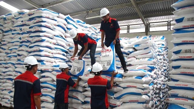 Kerja Nyata Kementan: Swasembada Beras di Depan Mata, Dunia Akui Lompatan Produksi Indonesia