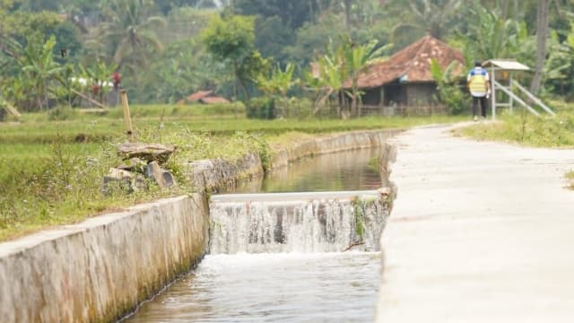 Rehabilitasi Irigasi Dipercepat, Swasembada Pangan Nyata di Depan Mata