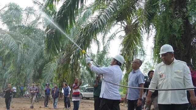 Mentan SYL Dorong Peremajaan Sawit dan Perkebunan Partisipatif di Serdang Bedagai, Sumut