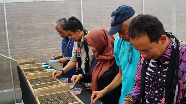 Peluncuran Nurseri Soilblock Hortikultura: Cara Kementan Tingkatkan Produksi Cabai Bawang
