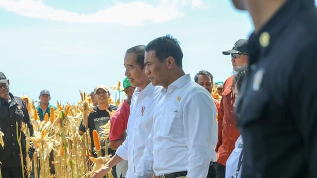 Presiden Panen Jagung bersama Mentan di Sumbawa, Jokowi Tekankan Keseimbangan Harga