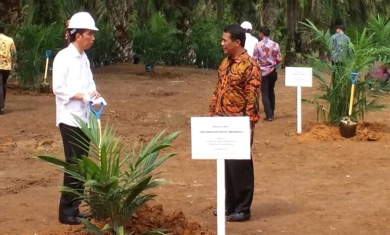 Pemerintah Komit Tingkatkan Kesejahteraan Komunitas Kebun Sawit Rakyat