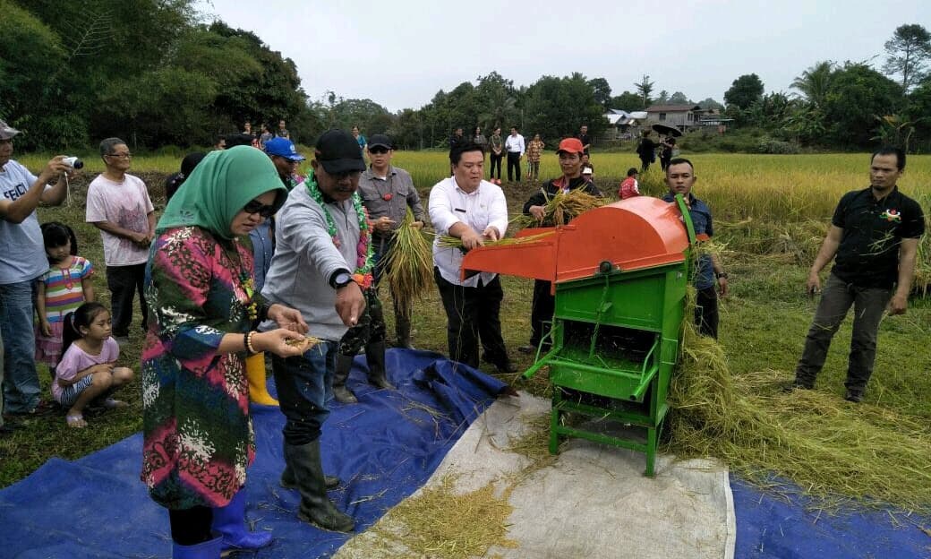 Panen Raya Beras Organik di Perbatasan Kabupaten Nunukan