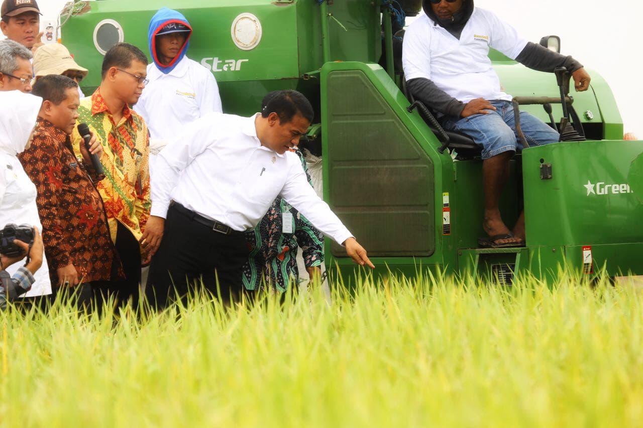 Mentan Launching Beras Varietas Baru Kualitas Dunia