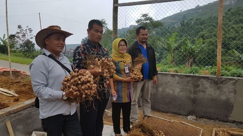 Magelang Kota Sejuta Bunga dan Kabupaten Sentra