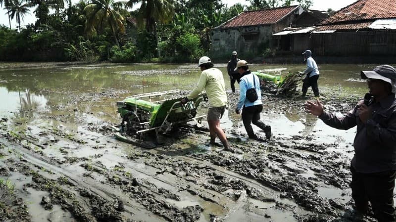 Petani Karawang Siap Praktekkan Pertanian Korporasi