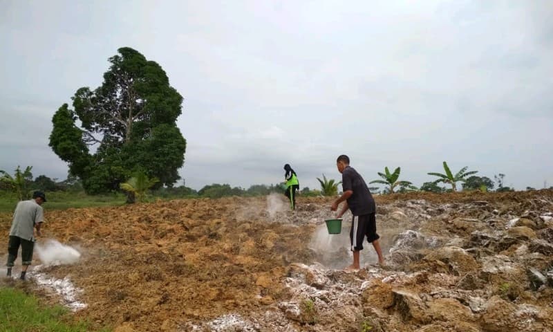 BPTP Jambi Bersiap, Gelar Inovasi Teknologi Dukung HKP Jambi
