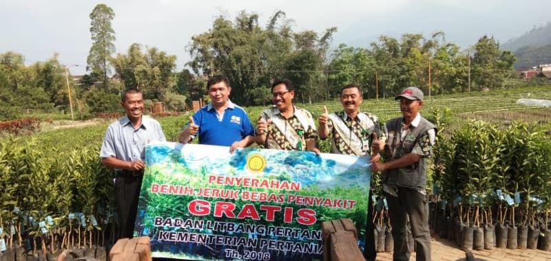 Pusat Unggulan IPTEK PUI Kelapa, Balit  Palma Bersinergi Dengan PUI Jeruk, Balitjestro Dalam Pengembangan Jeruk Diantara Kelapa
