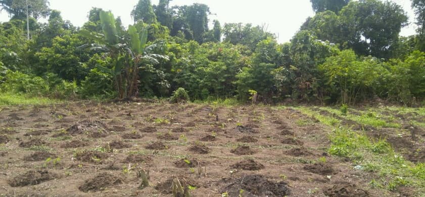 Kementan Dukung Lestarinya Kearifan Lokal Sistem Kuming