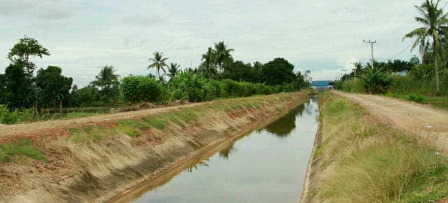 Kawasan Mini Polder Alabio Tingkatkan Produktivitas Lahan Rawa