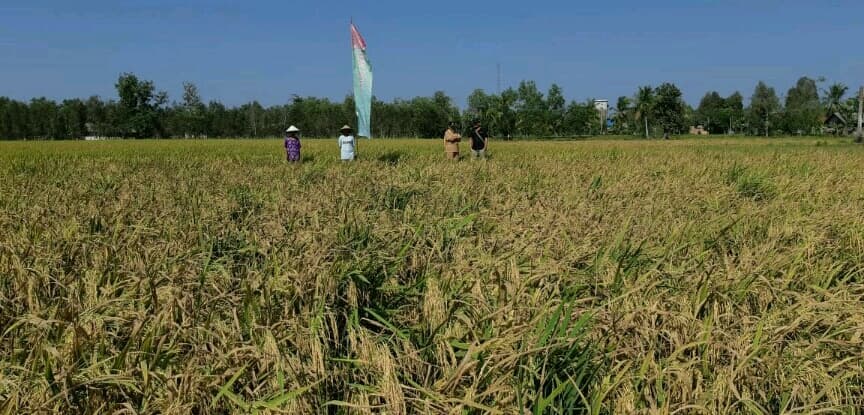 Kalteng Mantapkan Langkah Menuju Pertanian Organik