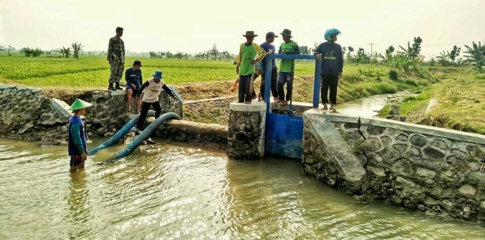 Minimalisir Dampak Kemarau, Kementan Turunkan Tim Mitigasi Kekeringan