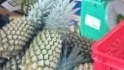 Nanas Kundur Siap Banjiri Pasar Singapura