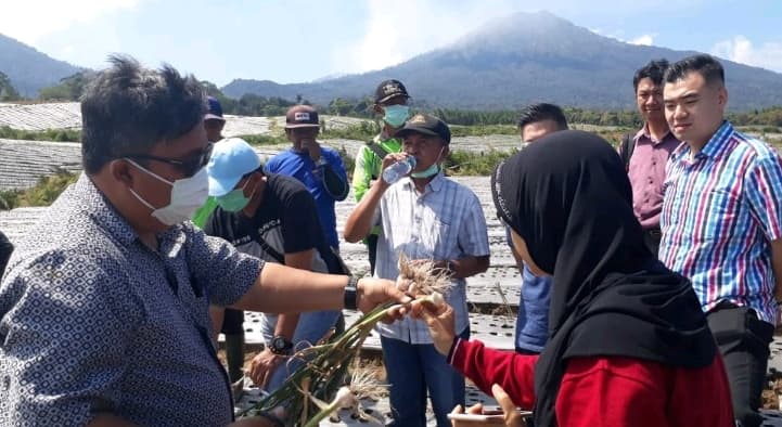Banyuwangi Mantapkan Langkah Sebagai Sentra Bawang Putih