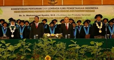 Gagas Inovasi Budidaya Lada Perdu, Kementan Targetkan Jadi Produsen Lada Nomor Satu di Dunia