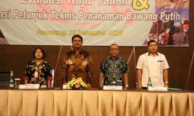Wajib Tanam Bawang Putih Ternyata Menguntungkan
