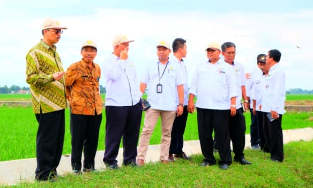 Segera Luncurkan Beras Basmati Asli Indonesia, Kementan: Beras Kita Layak Ekspor