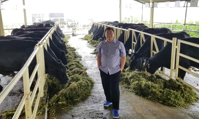 Belgian Blue : Masa Depan SWASEMBADA Daging Sapi Kita
