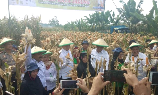 Dukungan BPTP Balitbangtan Sumsel Terhadap Program Upsus Pajale di Kabupaten OKUS