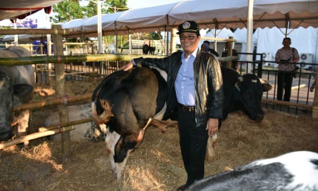 Kerjasama dengan Polri, Kementan Tekan Pemotongan Sapi Betina Produktif