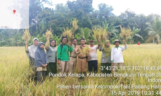 VUB Padi Inpari 42 Terbukti Unggul dan Tahan Penyakit