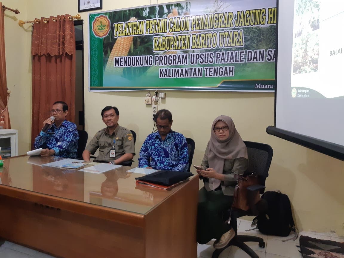Wujudkan Barito Utara Sebagai Sentra Jagung Di Kalteng, BPTP Latih Calon Penangkar Benih