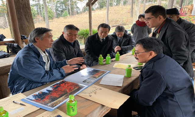 Blueberry Organik Kisarazu Siap Dibudidayakan di Indonesia