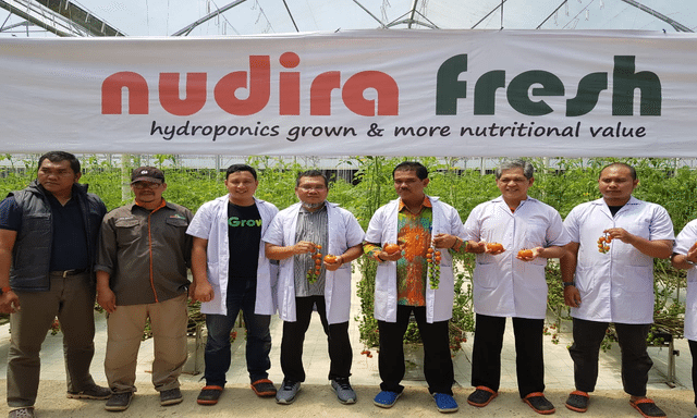 Hebat, Petani Tomat Milenial di Pangalengan Gunakan Teknologi Komputerisasi