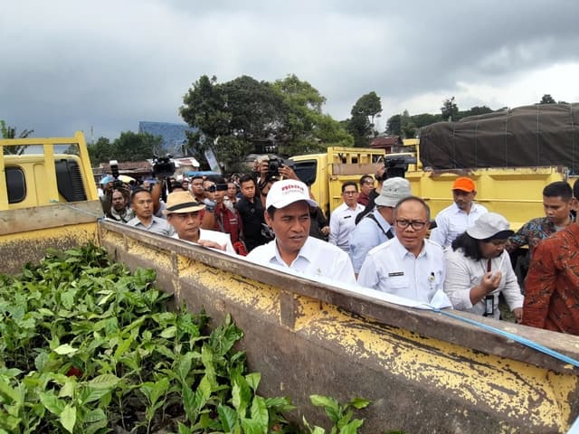 Pacu Produksi Komoditas Perkebunan, Kementan Luncurkan Program BUN500