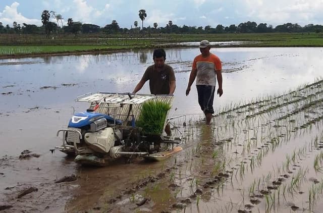 Musim Panen, Berkah Bagi Unit Pengelola Jasa Alsintan