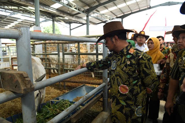 Mentan: Kabupaten Pasuruan Percontohan Produksi Sapi