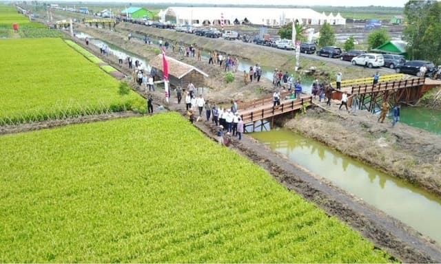 Optimalisasi Budidaya Padi Lahan Rawa