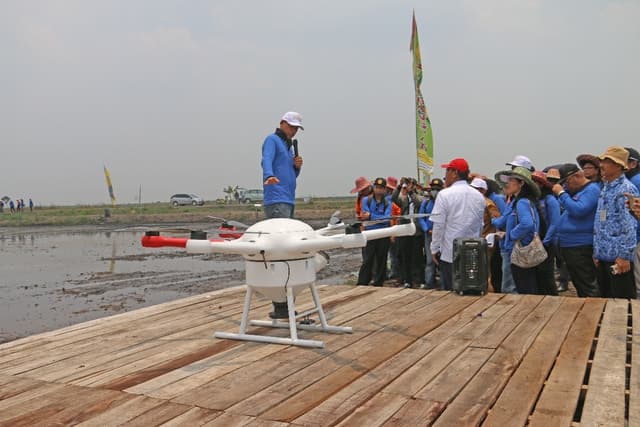 Pengembangan Lahan Rawa untuk Menunjang Ketersediaan Pangan