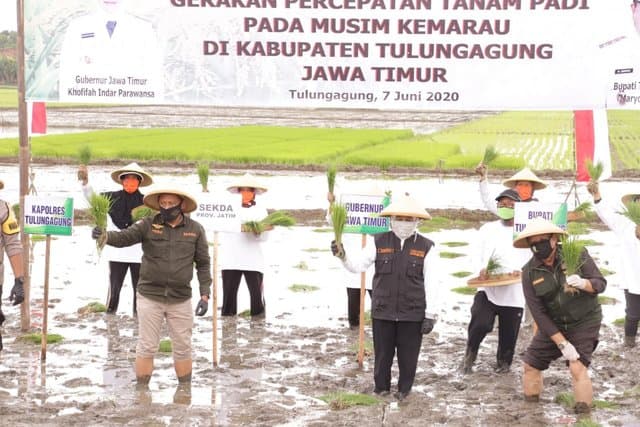 Wujudkan Ketahanan Pangan, Gubernur Jatim Percepat Tanam Padi