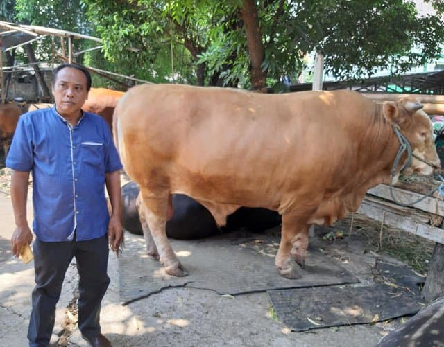 Kementan Keluarkan SE tentang Pelaksanaan Kurban dalam Situasi Pandemi Covid-19