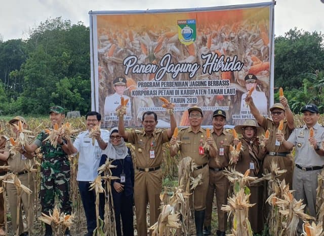 Kementan Terus Kembangkan Korporasi Jagung Untuk Memandirikan Petani