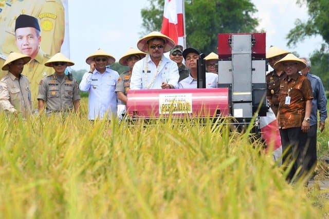Investasi Sektor Pertanian Melalui PMDN Kian Meningkat