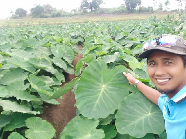 Petani Milenial Asal Jeneponto Sulawesi Selatan Siap Ekspor Perdana ke Jepang