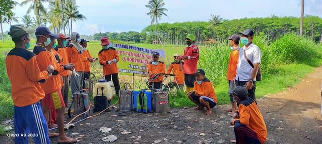 e-Bilaperdu, Pemkab Banyuwangi Terapkan Penyuluhan Pertanian Berbasis IT