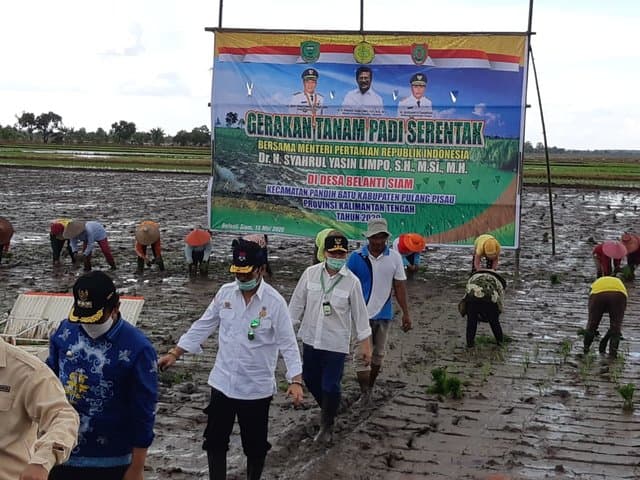 Kalteng Dukung Intensifikasi dan Ekstensifikasi Lahan Rawa untuk Pangan Nasional