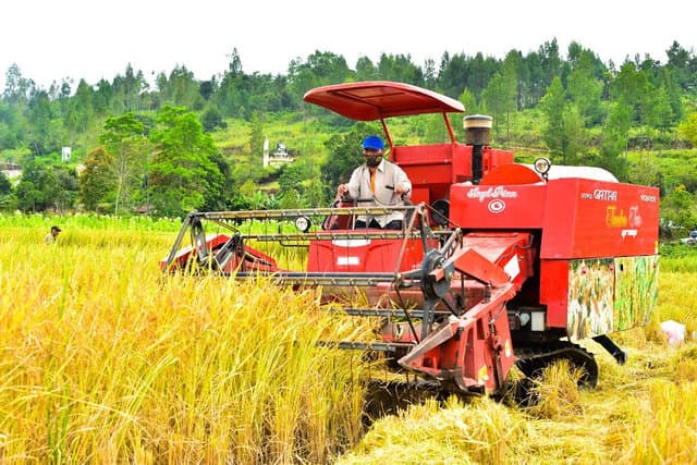 Kepada Mentan, Bupati Humbahas Tegaskan Siap Menjaga Ketahanan Pangan Nasional