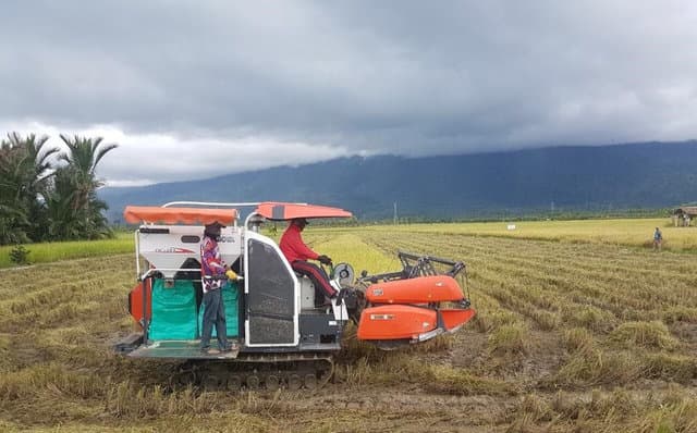 Bupati Fredirikus Gebze: Merauke Lumbung Pangan Papua Kejar Tanam Padi