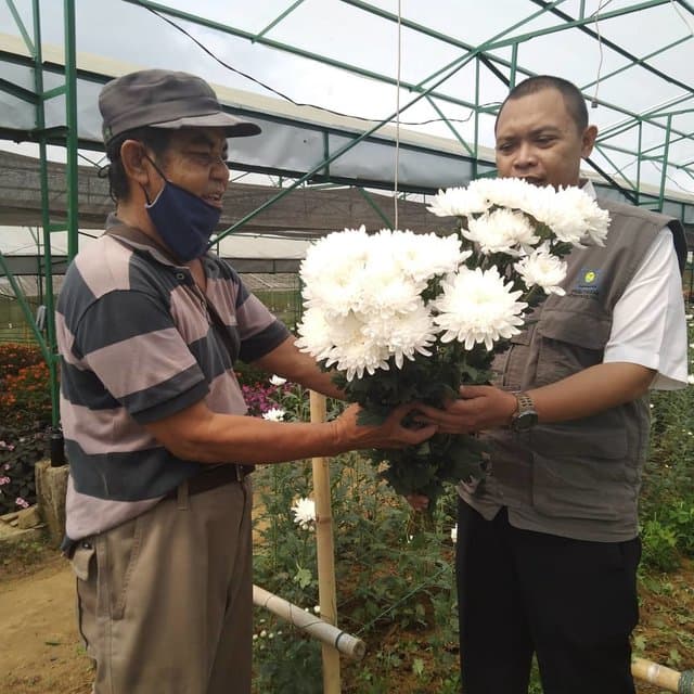 Meski Pandemi, Krisan Balitbangtan Tetap Diminati