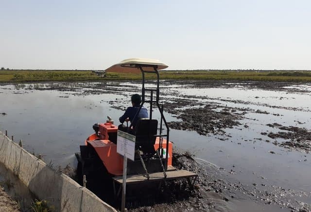 Penerapan Inovasi Teknologi Tingkatkan Produktivitas Lahan Rawa