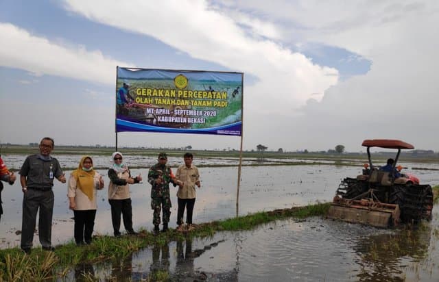 Kementan Pantau Gerakan Percepatan Tanam Padi di Bekasi