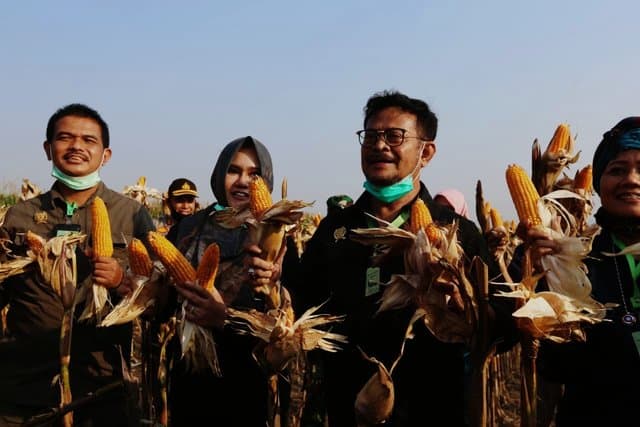 Berkunjung di Kendal, Mentan Tingkatkan Produksi Jagung Pakan Ternak