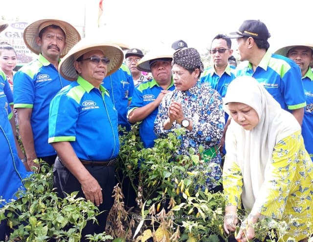 Strategi Produksi Komoditas Hortikultura di Masa Perubahan Iklim