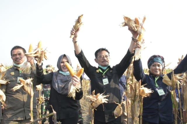 Kementan Genjot Penggunaan Varietas Produksi Tinggi di Kawasan Jagung